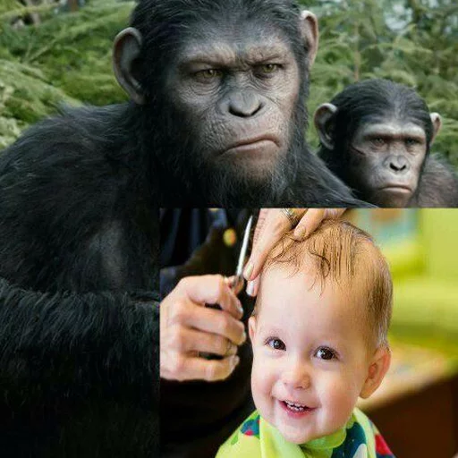 Стикер Monkey Haircut (@stickerssave) - 0