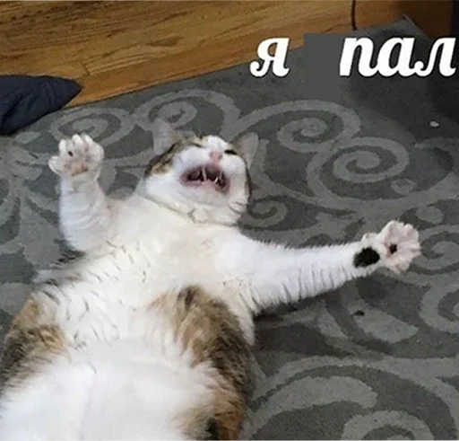 Муд: Николай Муд: Николай -