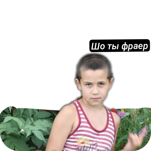 Злая зая Злая зая -