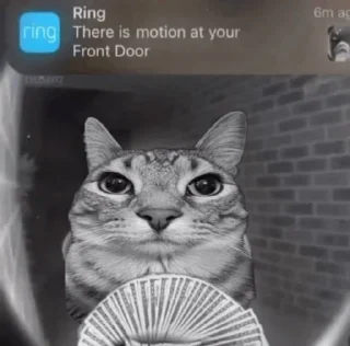Sticker Motion Cat - 2