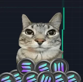 Sticker Motion Cat - 4