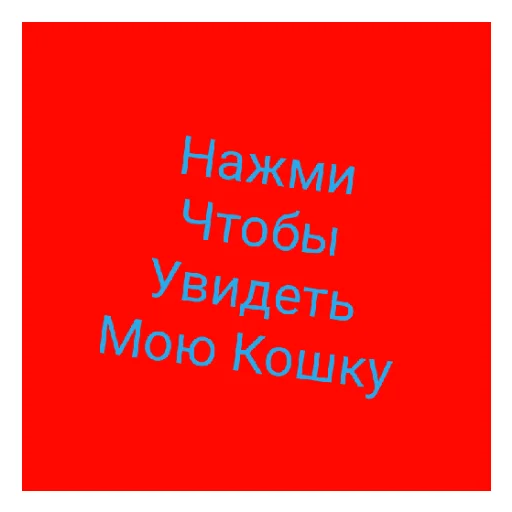Моя кошка мося Моя кошка мося -