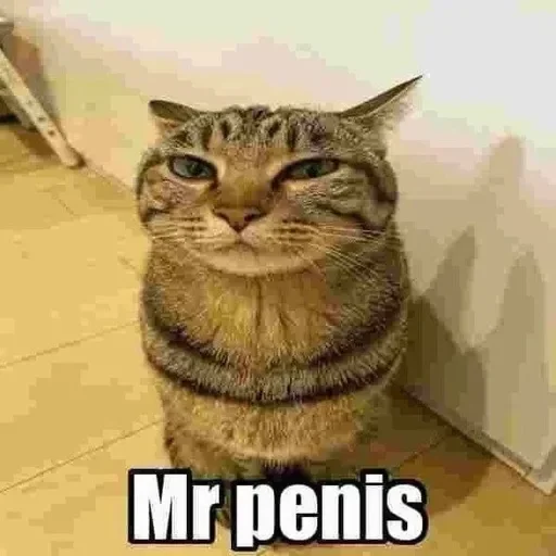 MrPenis MrPenis -
