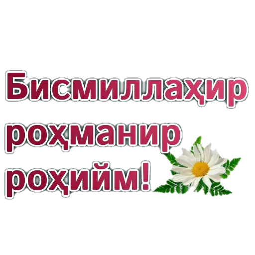 @MuslimKundaligi учун махсус @MuslimKundaligi учун махсус -