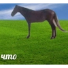 Ⓜ️øй ∆€l<$иķºŋ Ⓜ️øй ∆€l<$иķºŋ -