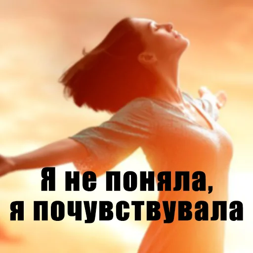 My_psychologist My_psychologist -