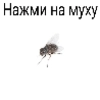 Муха ахахах by @dolcepost Муха ахахах by @dolcepost -