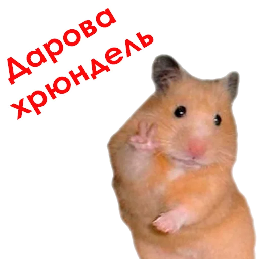 @NHmedBot - бот продаж @NHmedBot - бот продаж -