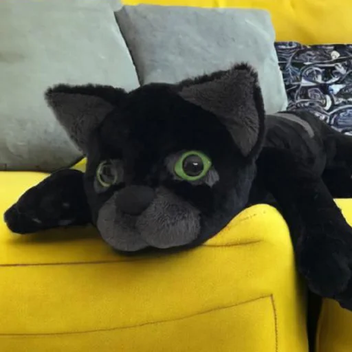NIGHTPELT // By pamp NIGHTPELT // By pamp -