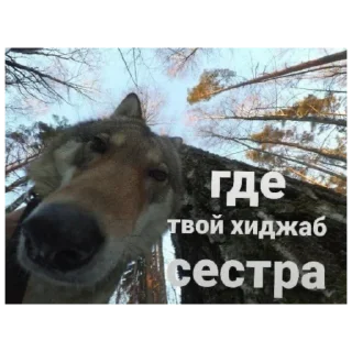 Стикер храни вас бог - 5