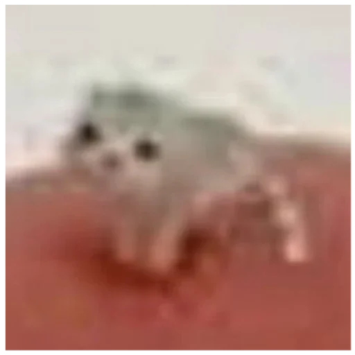 Ебейший кот Ебейший кот -