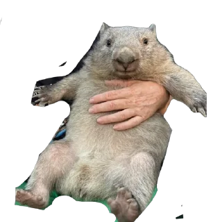 Стикер Найс - 10