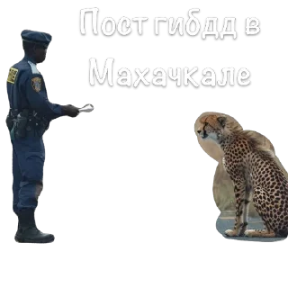 Стикер Найс - 8