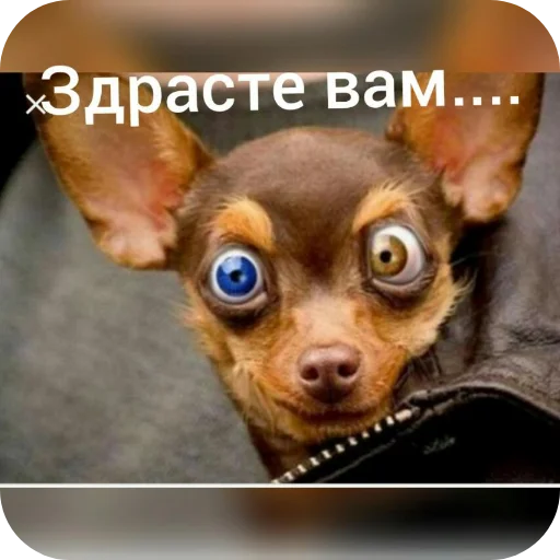 Настроение☆ Настроение☆ -