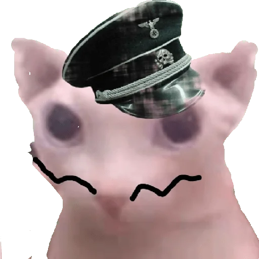 Наимт Наимт -