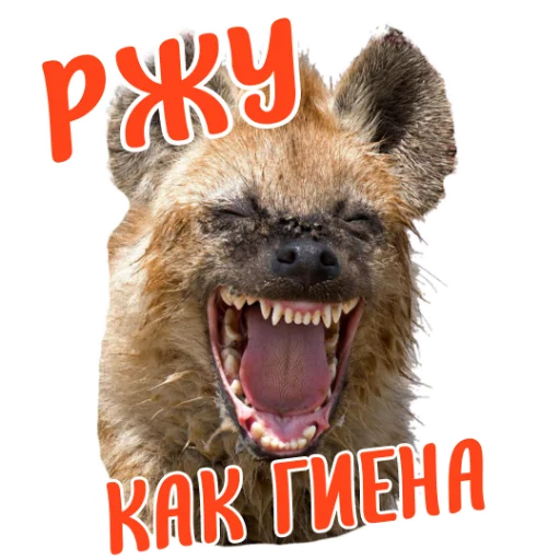 @tysya_pro_freelance @tysya_pro_freelance -