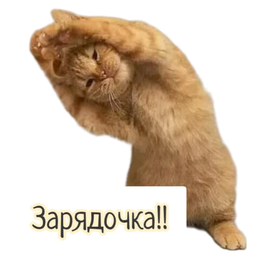 Бесёнок.ру Бесёнок.ру -