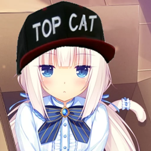 Nekololis Nekololis -