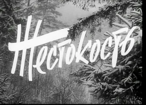 Trte Trte -