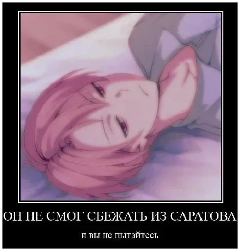 Шампиньон Шампиньон -