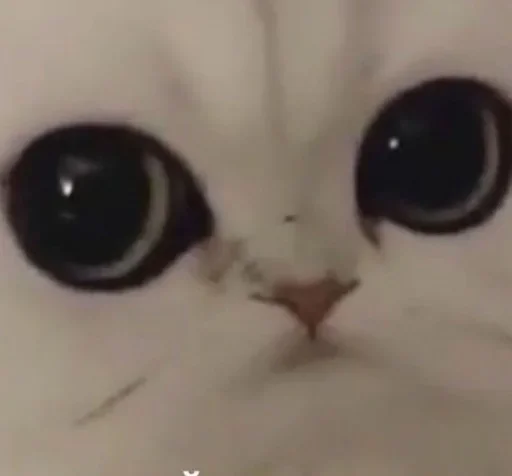 M-Jay: нервы, это всё нервы by @fStikBot M-Jay: нервы, это всё нервы by @fStikBot -