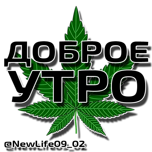 @NewLife09_02 @NewLife09_02 -