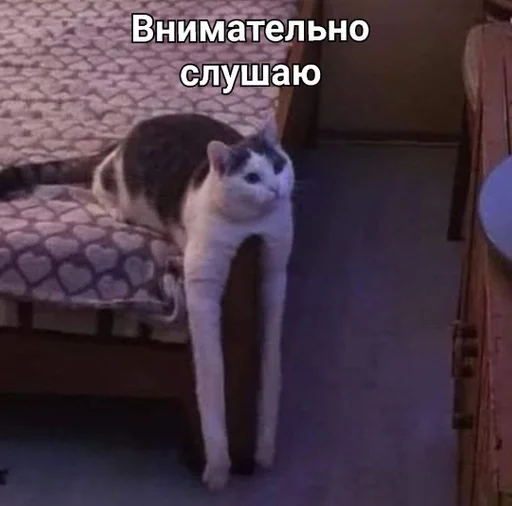 Рофлан булдыга 2 :: @fStikBot Рофлан булдыга 2 :: @fStikBot - млекопитающее