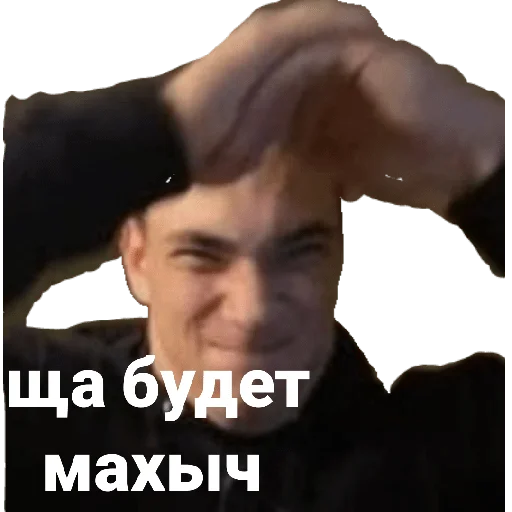 Гавнодавы Гавнодавы -
