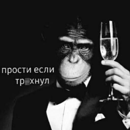 OakyNipDemob :: @fStikBot OakyNipDemob :: @fStikBot -