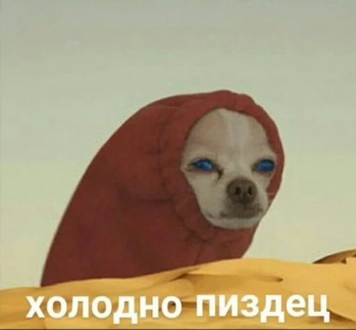 Meme Meme -