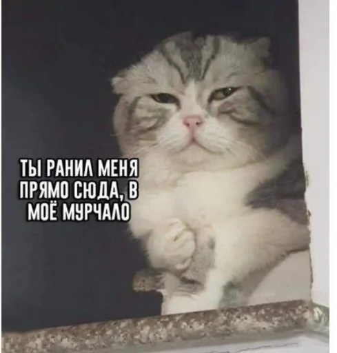 Галя в сердце краш Галя в сердце краш -