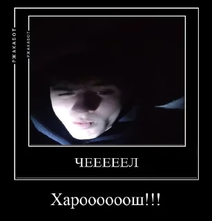 Sticker Пакер стік - 6