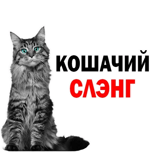 Больше стиков тут: @stikery4 Больше стиков тут: @stikery4 -