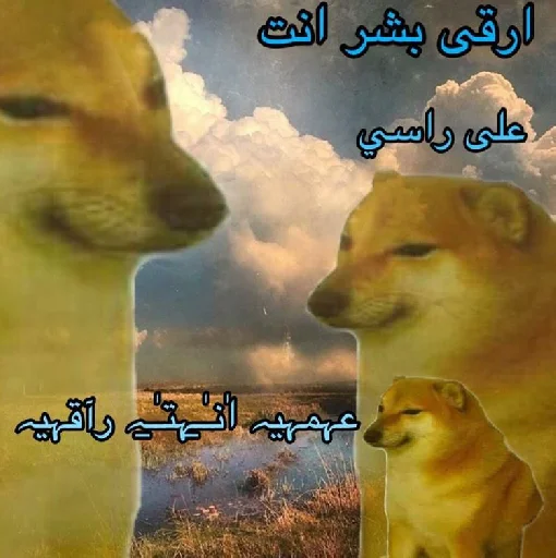عمي انت راقي عمي انت راقي -