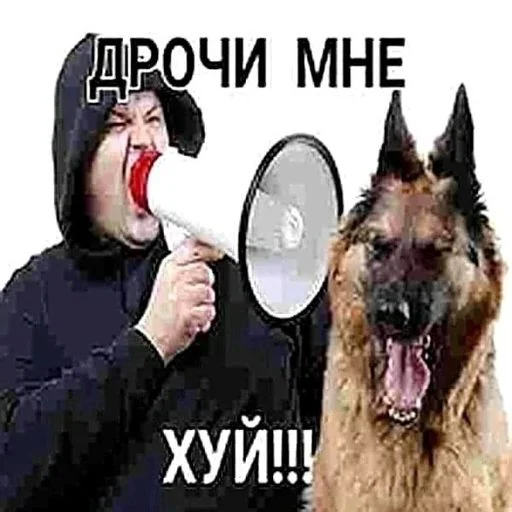 Стикеры для разъеба Стикеры для разъеба -