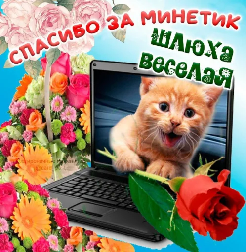 Открытки by @GIFSTIKI Открытки by @GIFSTIKI -