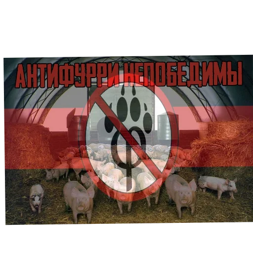 Потная Лига | Антифурри-Хуесосы @pmc_ocaf Потная Лига | Антифурри-Хуесосы @pmc_ocaf -