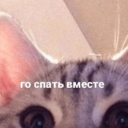 o(〃^▽^〃)o o(〃^▽^〃)o -