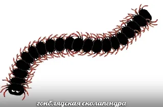 2к18 жирные члены vol.5 ?? by @fStikBot 2к18 жирные члены vol.5 ?? by @fStikBot - text