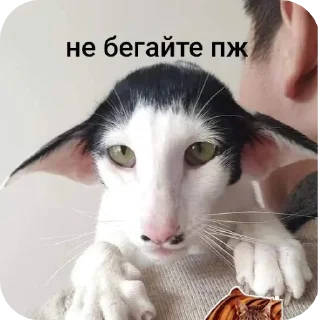 Sticker Олеся Александровна любими - 5