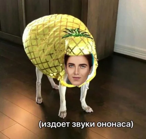 Ононас Ононас -