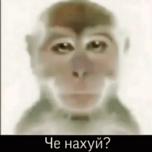 Опико - @Tg_stickersu Опико - @Tg_stickersu -