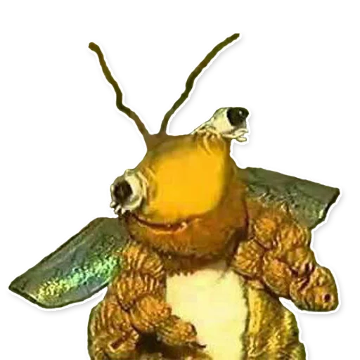 Ordinary Bee Ordinary Bee -