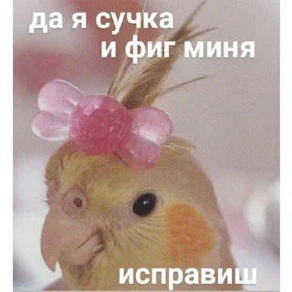 Sticker Раки 🦞 - 6