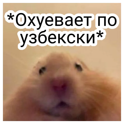 Охуеваем вместе Охуеваем вместе -