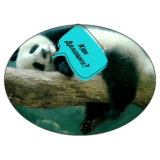 Sticker Панда - 0
