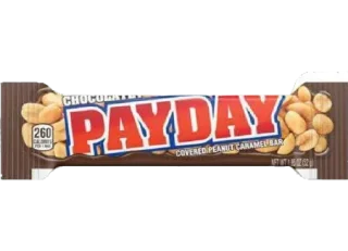 Sticker PAYDAY - 6