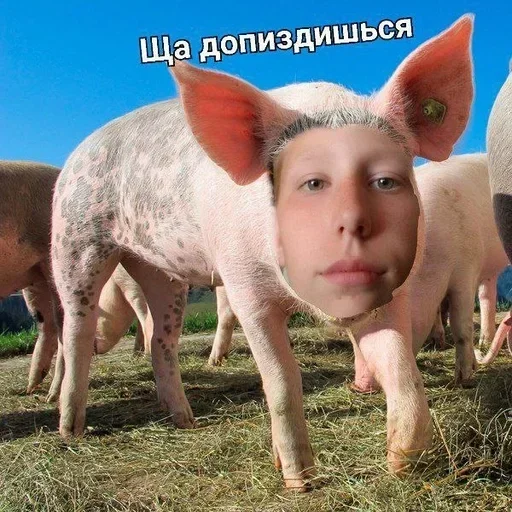 Создано в @sozdsti_bot Создано в @sozdsti_bot -