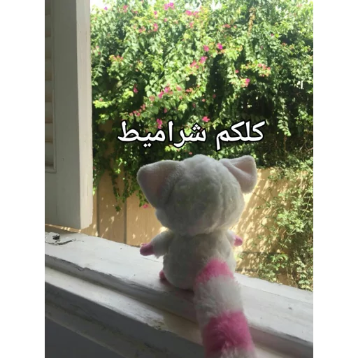 Pammee thinking about life Pammee thinking about life -