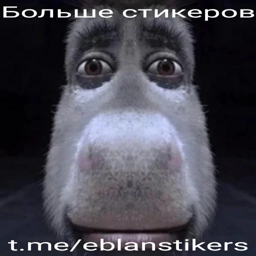 Папка Египет 2010 Папка Египет 2010 -